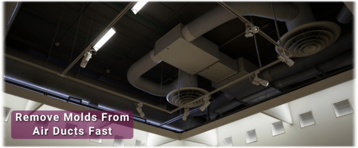 Air Duct Mold Removal in Phoenix