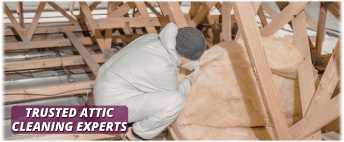 Attic Cleaning Phoenix