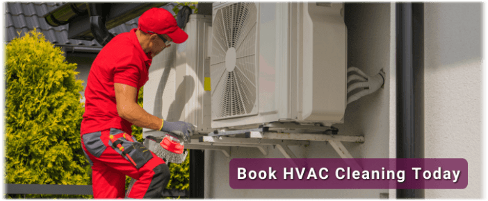 HVAC Mold Removal Phoenix